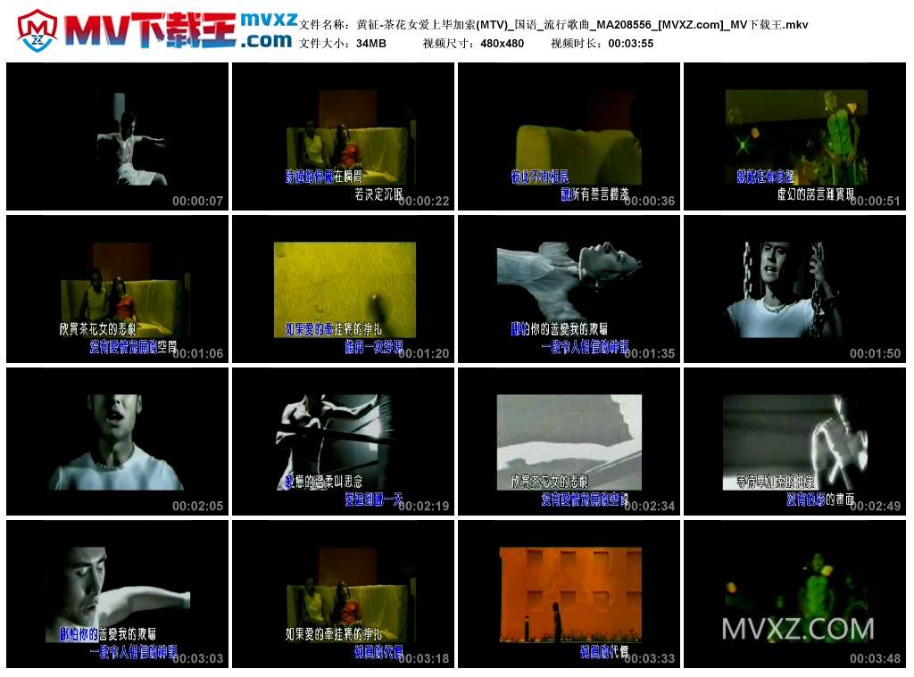 黄征-茶花女爱上毕加索(MTV)_国语_流行歌曲_MA208556